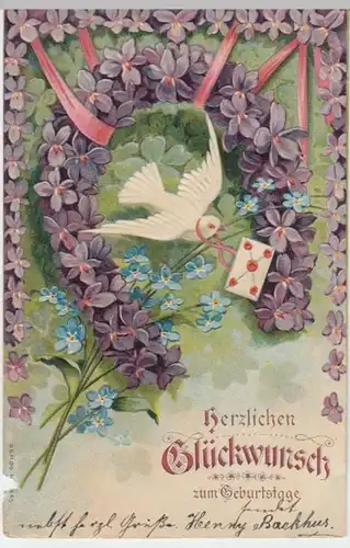 (5047) AK Geburtstag, Prägekarte, Taube, Veilchen, Brief, bis 1905
