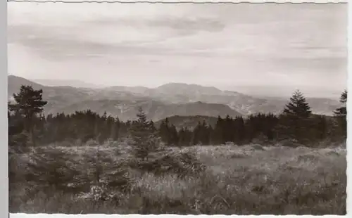 (4956) Foto AK Schliffkopf, Schwarzwald nach 1945