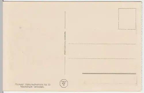 (4951) AK Rech, Dernau, Weinberg, Panorama, vor 1945