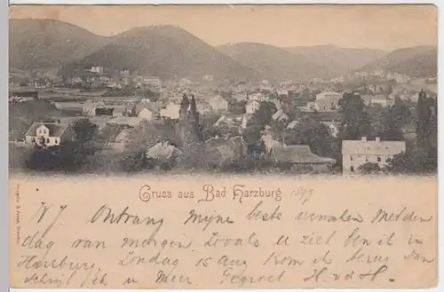 (4904) AK Gruß aus Bad Harzburg, Panorama 1897