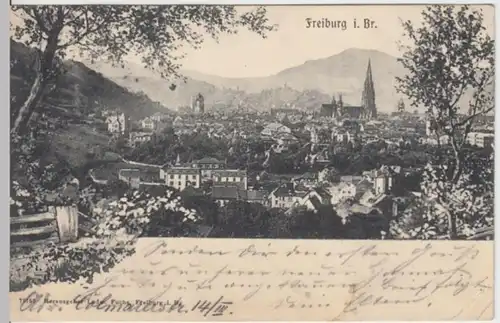 (4811) AK Freiburg im Breisgau, Münster, Panorama 1904