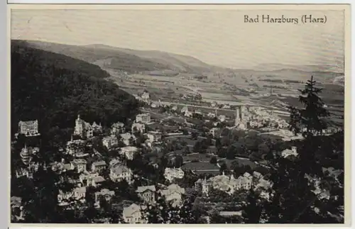 (4599) AK Bad Harzburg, Panorama 1939