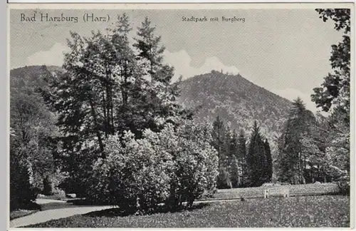 (4590) AK Bad Harzburg, Stadtpark, Burgberg 1939