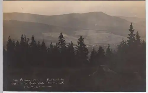 (4515) Foto AK Großer Falkenstein, vor 1945