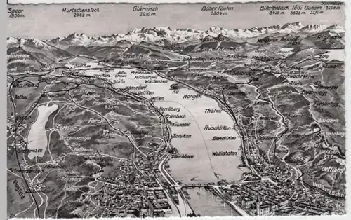 (4503) AK Zürichsee, Karte 1954