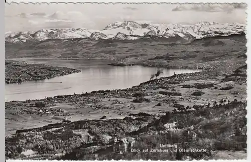 (4502) Foto AK Zürichsee, Uetliberg, Panorama, Glärnischkette 1954