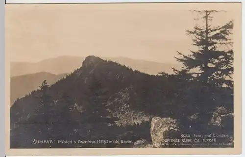 (4501) Foto AK Böhmerwald, Sumava, Bavor