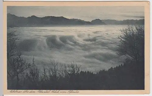 (4371) AK Rheintal, Vorarlberg, Blick vom Pfänder, vor 1945