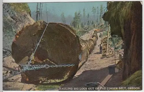 (4340) AK Oregon, hauling big logs out of the Timber Belt 1910er