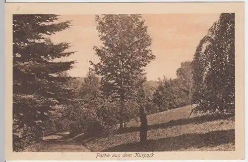 (4290) AK Wiesenbad, Erzgebirge, Kurpark 1928