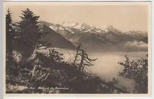 (4183) Foto AK Berner Alpen 1928