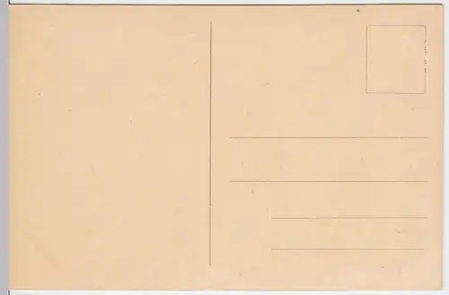 (4006) AK Naumburg, Saale, Dom, Inneres, vor 1945