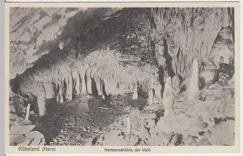 (3979) AK Rübeland, Hermannshöhle, Wald, um 1935