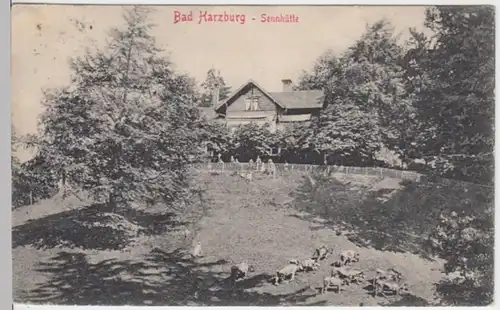 (3863) AK Bad Harzburg, Sennhütte 1911