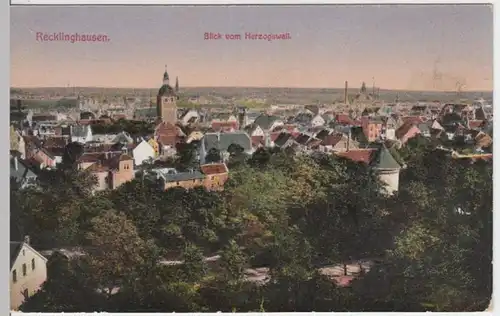 (3843) AK Recklinghausen, Panorama, vor 1945