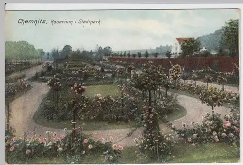 (3780) AK Chemnitz, Rosarium, Stadtpark, vor 1945