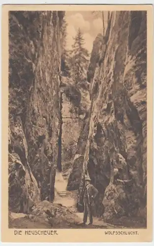 (3645) AK Heuscheuergebirge, Niederschlesien, Wolfsschlucht, vor 1945