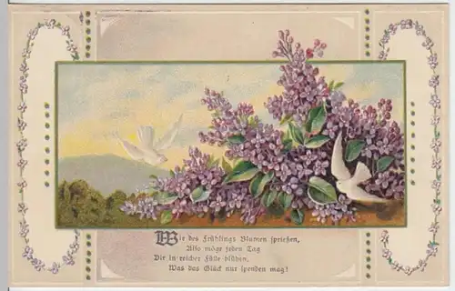 (3624) AK Sprüche, Wie des Frühlings Blumen sprießen, Prägekar. 1913