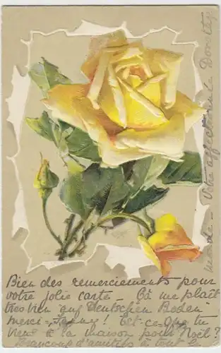 (3532) Künstler AK P. Klein?, Rose, Prägekarte 1904
