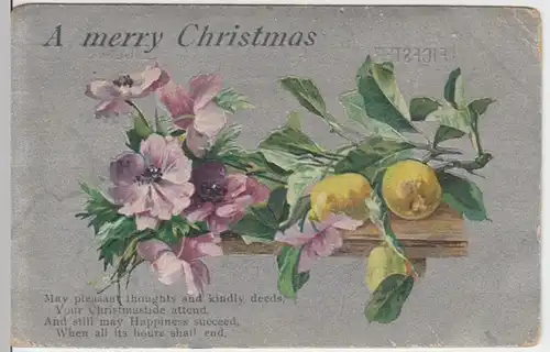 (3446) AK Weihnachten, Anemone, Zitrone, Prägekarte Großbritannien 1902