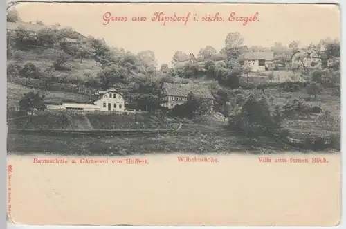 (3414) AK Gruß aus Kipsdorf, Gärtnerei Hoffert, Wilhelmshöhe, bis 1905