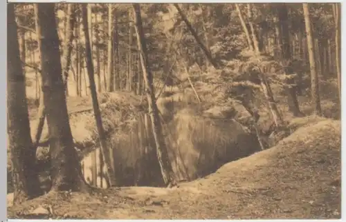 (3351) AK Lüneburger Heide, Oertze bei Müden 1911