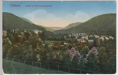 (2764) AK Tabarz, Panorama, Lauchagrund, vor 1945