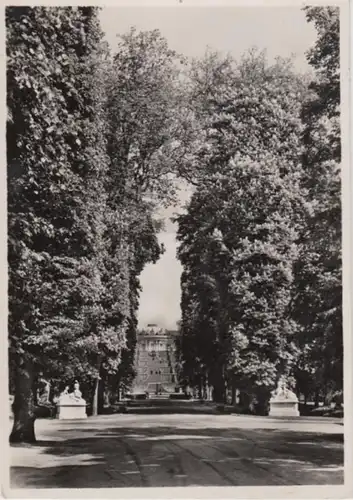 (2658) Foto AK Potsdam, Sanssouci Terrassenallee 1938