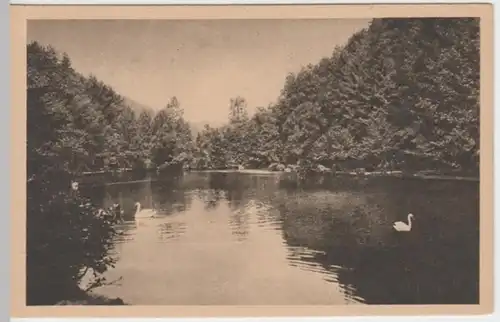 (2401) AK Baden-Baden, Waldsee, vor 1945