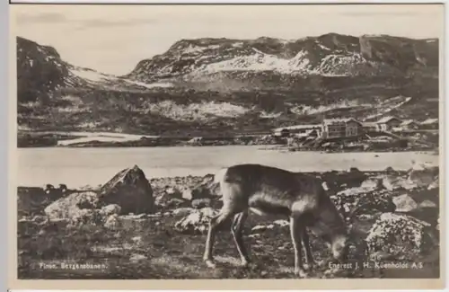 (2187) Foto AK Bahnhof Finse, Bergenbahn