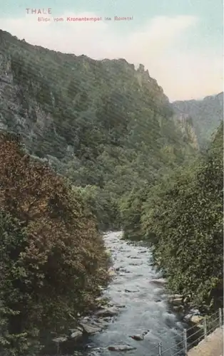 (1890) AK Thale, Bodetal, vor 1945