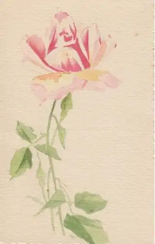 (1847) AK Malerei, Rose, ab 1905