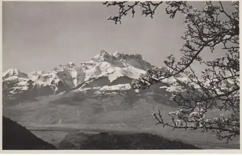 (1811) AK Leysin, Dents du Midi 1954