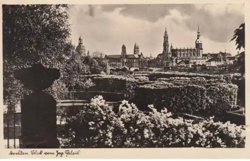 (1604) Foto AK Dresden, Blick vom Japanischen Palais 1938
