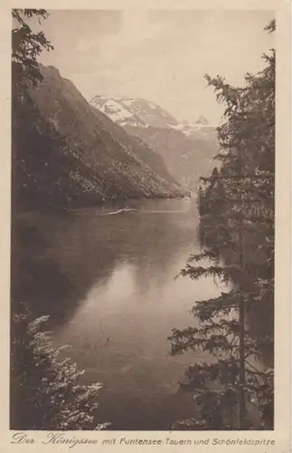 (1524) AK Königssee, Schönau, Funtenseetauern, Schönfeldspitze 1925