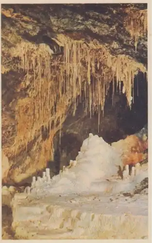 (1479) AK Saalfeld, Saale, Feengrotten, Gralsburg