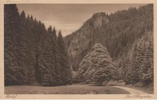 (1442) AK Oberhof, Thür., Silbergraben, Räuberstein, Sonderstemp. 1924