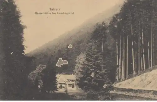 (1440) AK Tabarz, Massemühle, Lauchagrund
