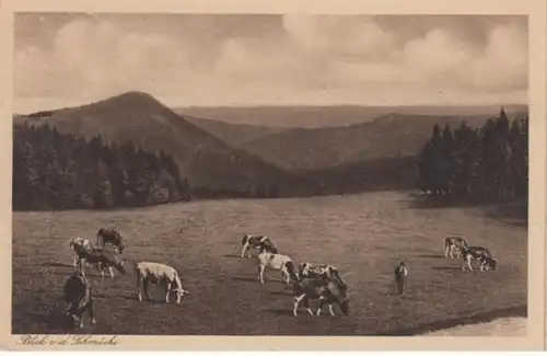 (1428) AK Thüringer Wald, Blick von der Schmücke, vor 1945