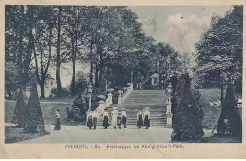 (1367) AK Freiberg, Sachsen, Freitreppe, König Albert Park 1918