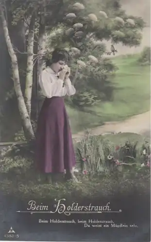 (1293) Foto AK Sprüche, Beim Holderstrauch, vor 1945