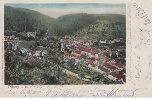 (1203) AK Triberg im Schwarzwald, Panorama 1905