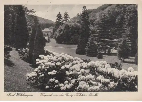 (1013) AK Bad Wildungen, Kurpark an der Georg-Viktor-Quelle 1935