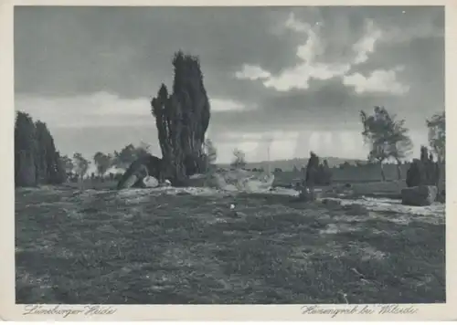 (1003) AK Lüneburger Heide, Hünengrab bei Wilsede 1930er