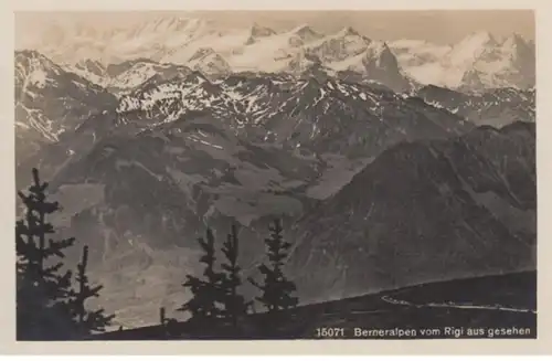 (832) Foto AK Berner Alpen, Blick vom Rigi
