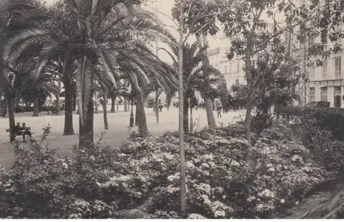 (829) AK Malaga, Spanien, Park, vor 1945