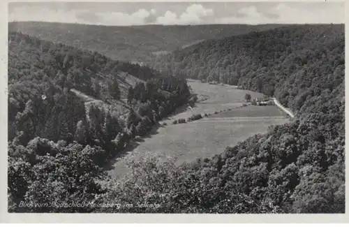 (796) AK Selketal, Blick vom Jagdschloss Meiseberg 1943