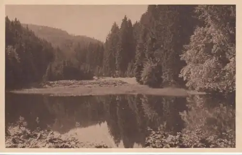 (744) AK Ilmenau, Knöpfelstaler Teich 1910/20er