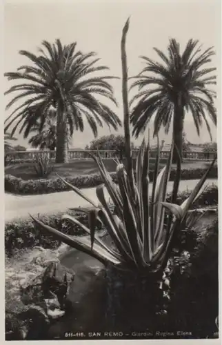 (558) Foto AK San Remo, Ital., Königin Elena Garten