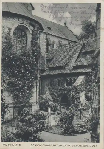 (547) AK Hildesheim, Domkirchhof 1939